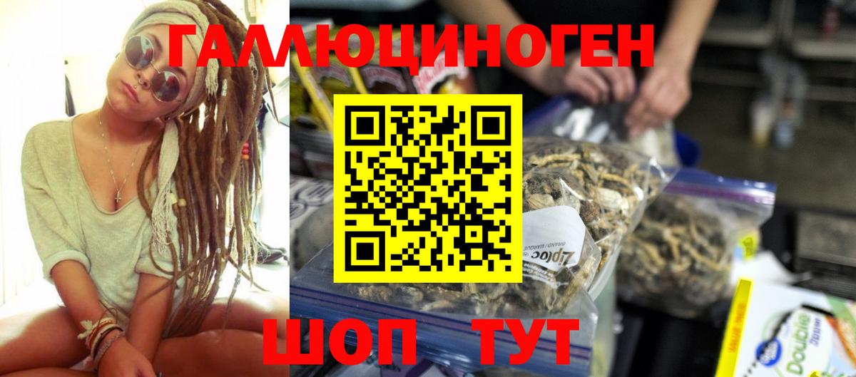 Галлюциногенные грибы Psilocybe Азнакаево
