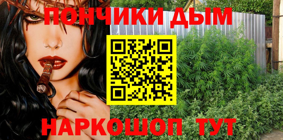 Шишки марихуана план Азнакаево